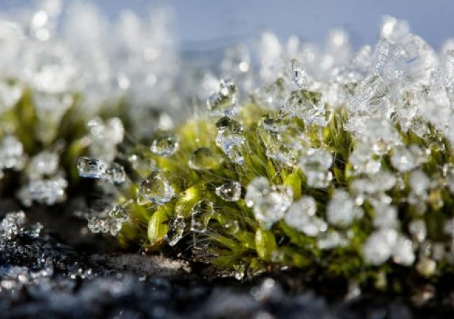 冬春過渡中年人穿鞋悶?zāi)_如何是好？什么鞋子保暖又透氣？